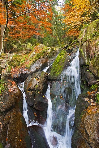 Gertelbachwasserfaelle water falls, Gertelbachschlucht gorge, Buehl, Buehlertal valley, Black Forest, Baden-Wuerttemberg, Germany, Europe