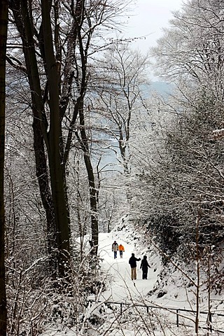 Pedestrians in the snowy woods, Essen, North Rhine-Westphalia, Germany, Europe