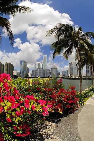 Brickell Key Drive, Downtown Miami, Florida, USA