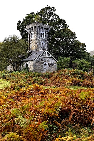 Old ruin, Killarney National Park, County Kerry, Ireland, Europe