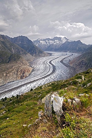 Aletsch Glacier in front of the Gross Wannenhorn and Klein Wannenhorn Mountains, Bernese Alps, Valais, Switzerland, Europe