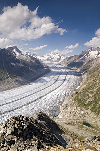 Aletsch Glacier in front of Jungfrau, Moench, Eiger and Gross Wannenhorn Mountains, Bernese Alps, Valais, Switzerland, Europe