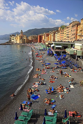 Camogli in the Genoa province, on the Golfo Paradiso at the Riviera di Levante, beach promenade and church Santa Maria Assunta, Liguria, Italy, Europe