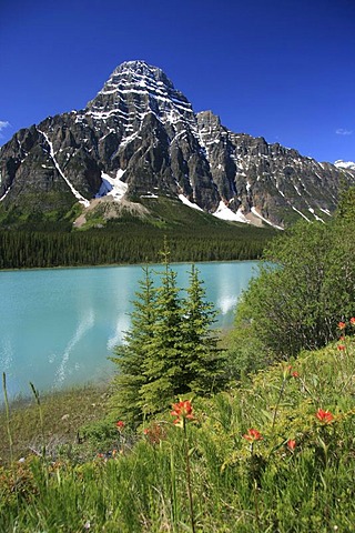 Waterfowl Lake, Banff National Park, Canada