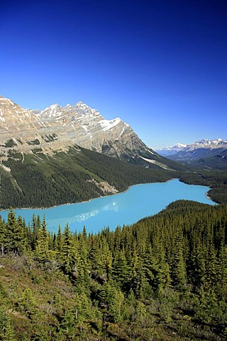 Peyto Lake, Banff National Park, Canada