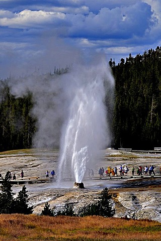 Beehive geyser in Yellowstone National Park, USA