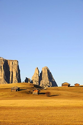 Cabins on the Seiser Alm mountain pasture with Mt. Schlern, Dolomites, South Tyrol, Italy, Europe