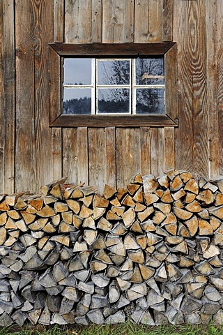 Firewood stacked outside a hut