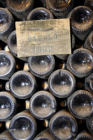 Wine-cellar, Cantina di Borgogno, winery, Barolo, Provincia di Cuneo, Piedmont, Italy, Europe