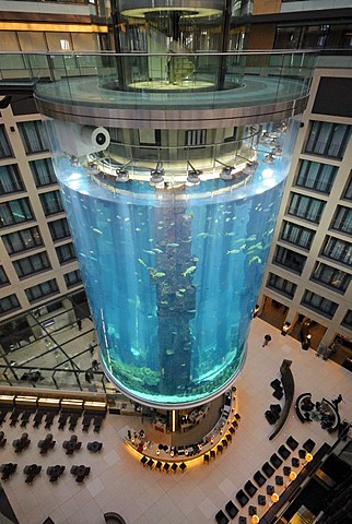 AquaDom of the Sealife in the lobby of the Radisson SAS hotel in the CityQuartier DomAquaree, 14 meter tall aquarium with elevator inside, accessible to visitors of the Sealife Center, Berlin Mitte district, Berlin, Germany, Europe