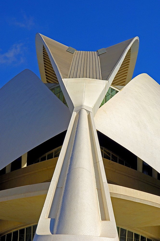 Palace of Arts Reina Sofia, by S. Calatrava, City of Arts and Sciences, Comunidad Valenciana, Valencia, Spain, Europe