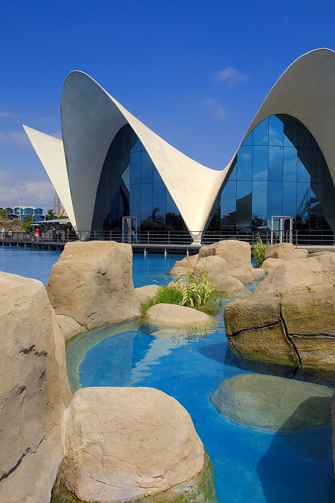 L'Oceanografic aquarium, City of Arts and Sciences by S. Calatrava, Valencia, Comunidad Valenciana, Spain, Europe