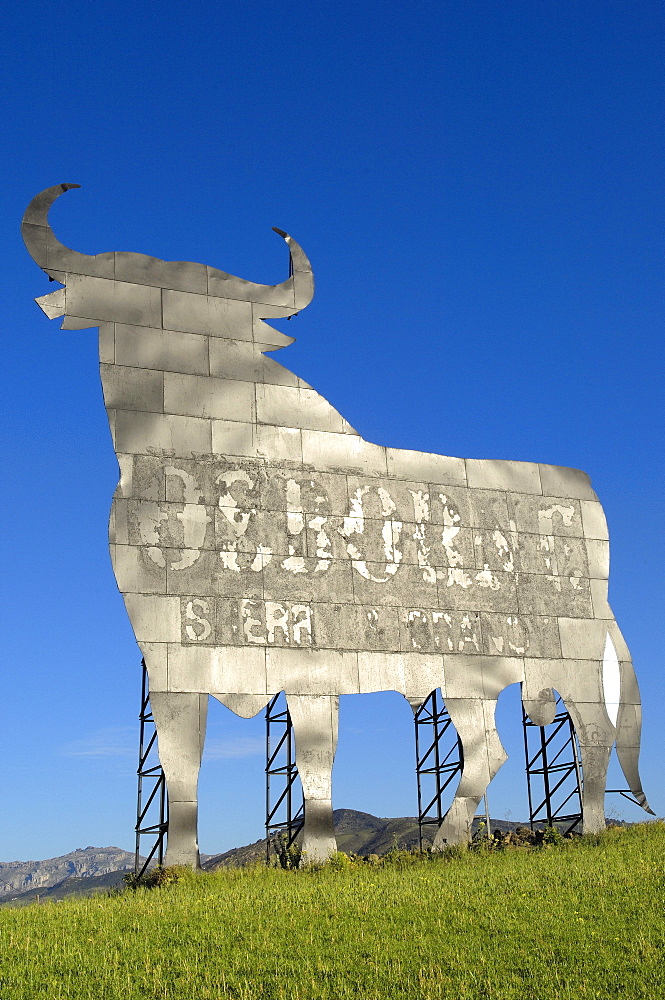 Bull silhouette, typical advertising of Spanish Osborne sherry, Malaga, Spain, Europe