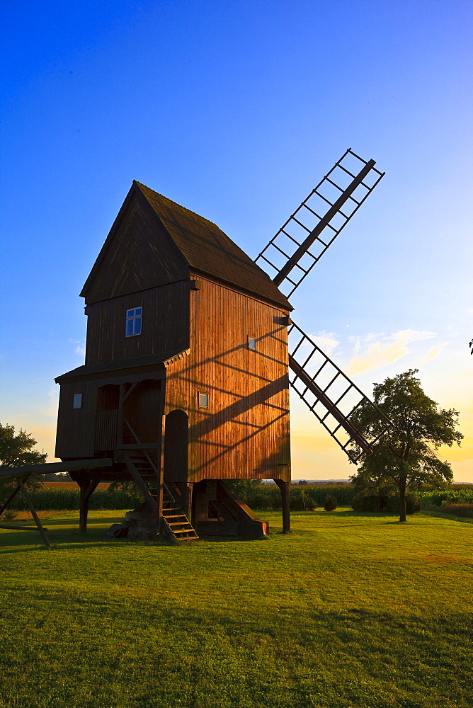 Windmill in the evening sun in Altbelgern on the Elbe river, Brandenburg, Germany, Europe
