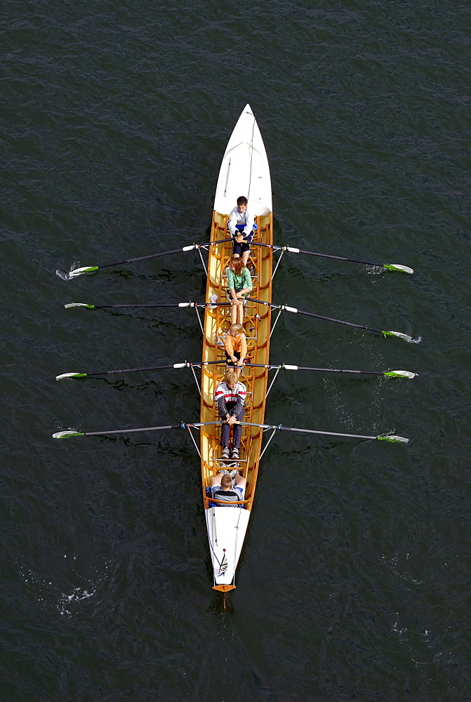 Water sports, double-coxed fours, young rowers in action