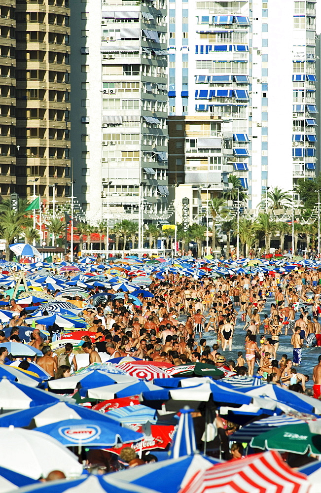 Tourists crowding Benidorm's Playa Levante beach during the main tourist season, Costa Blanca, Spain, Europe