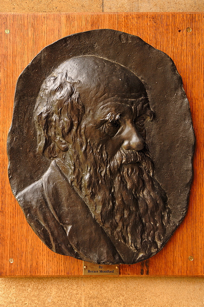 Relief Portrait of Charles Darwin by Horace Montford in Christ's College, St. Andrews Street, Cambridge, Cambridgeshire, England, United Kingdom, Europe