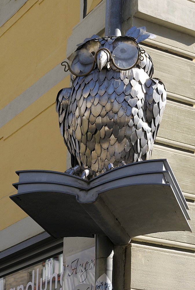 Owl with glasses, advertising character on a bookstore, Anger, Erfurt, Thuringia, Germany, Europe