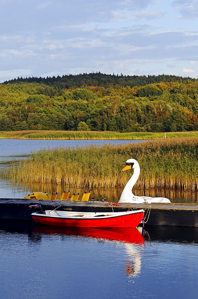 Pedal boat in the form of a swan in the evening light, Ralswiek at the Grosser Jasmunder Bodden, Ruegen island, Mecklenburg-Western Pomerania, Germany, Europe