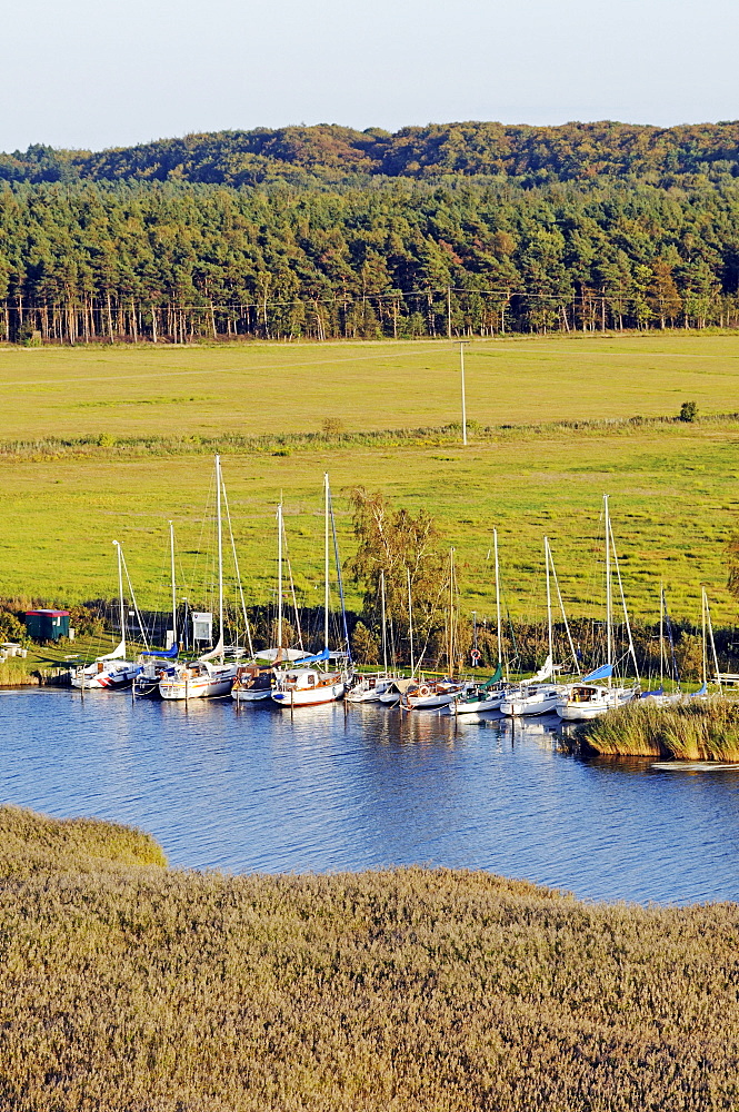 Harbour in the seaside resort of Baabe, Ruegen Island, Mecklenburg-Western Pomerania, Germany, Europe