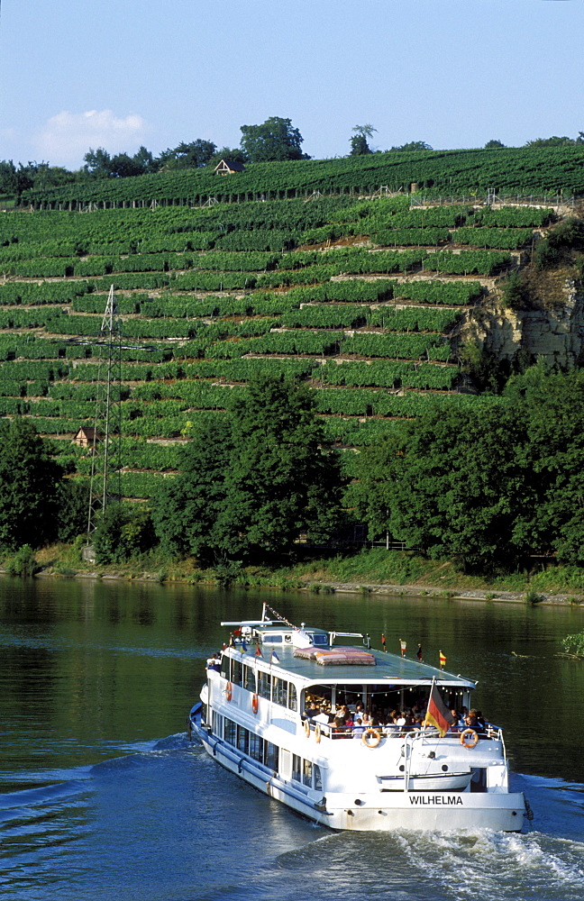 Excursion ship on the Neckar River, vineyards, Stuttgart, Baden-Wuerttemberg, Germany, Europe