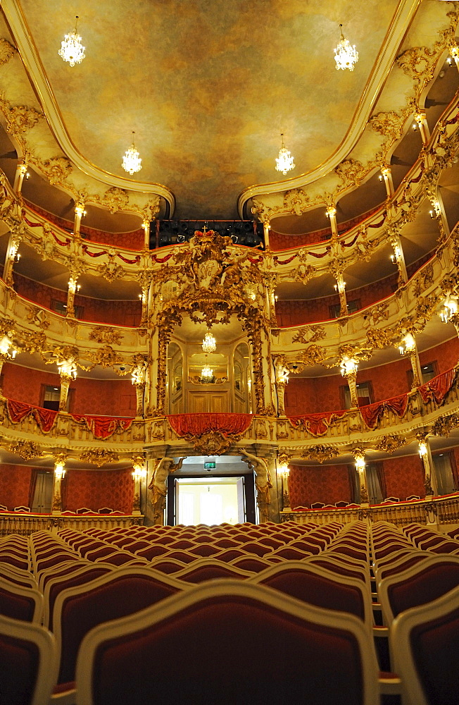 Illuminated auditorium, Cuvillies Theater, Munich, Upper Bavaria, Bavaria, Germany, Europe