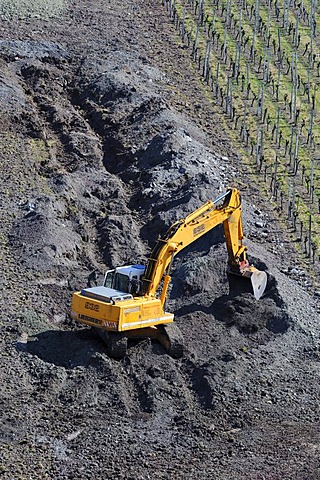 Crane doing earthworks, vineyard being newly constructed