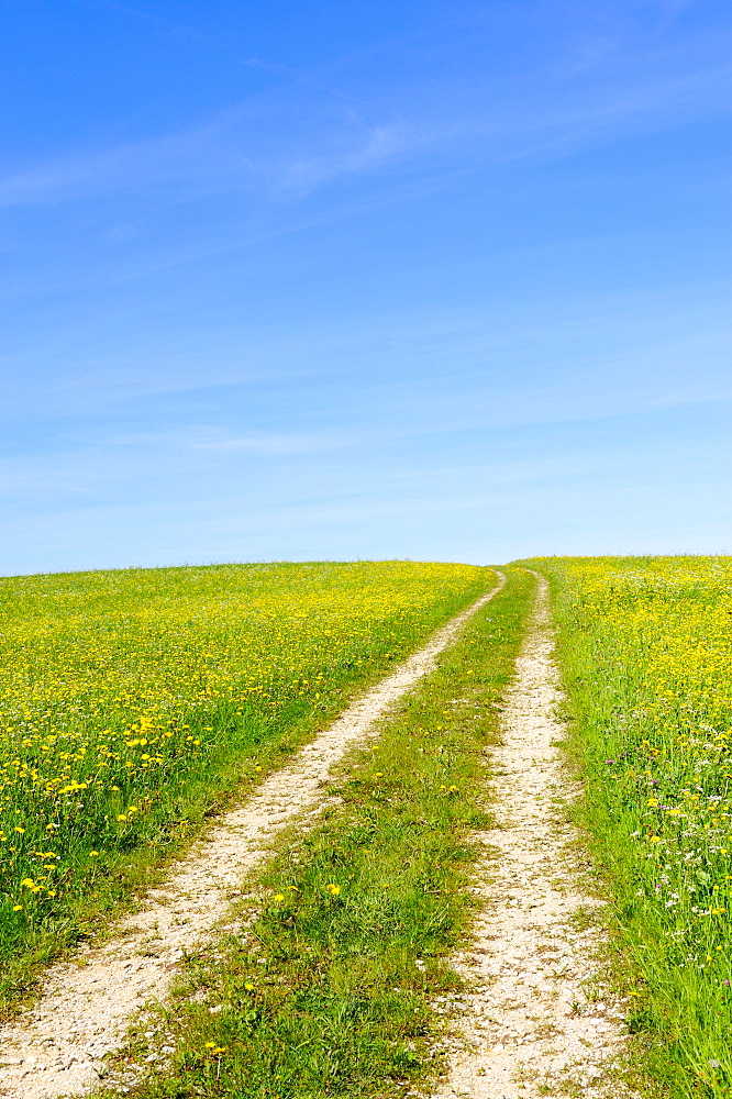 Dirt track through a spring meadow, Swabian Mountains, Baden-Wuerttemberg, Germany, Europe