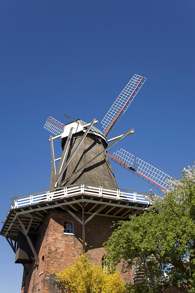 Aurora Mill in Borstel, Dutch mill with gallery and brick substructure, Altes Land region, Lower Elbe, Lower Saxony, North Germany, Germany, Europe