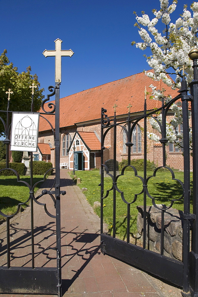 St Bartholomaeus Kirche St Bartholomew's Church in Mittelnkirchen, cherry blossom, Altes Land region, Lower Elbe, Lower Saxony, North Germany, Germany, Europe