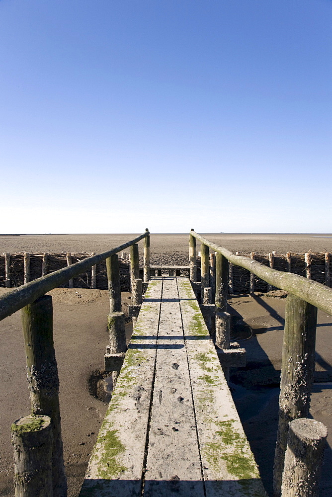 Boardwalk over the muddy Wadden sea in the Nationalpark Schleswig Holsteinisches Wattenmeer, Schleswig Holstein Wadden Sea National Park, Unesco World Heritage, Schleswig-Holstein, Northern Friesland, Northern Germany, Germany, Europe