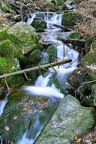 Steinbachfaelle water falls, Falkenstein mountain, National Park Bavarian Forest, Lower Bavaria, Germany, Europe