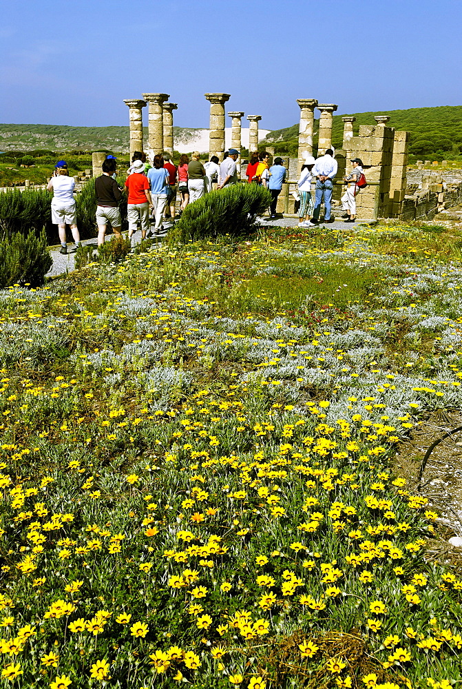 Forum, archeologic park Baelo Claudia near Tarifa, Andalusia, Spain, Europe