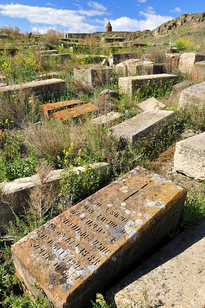 Historic Armenian cemetry, graves, gravestones, at Khor Virap monastery, Armenia, Asia