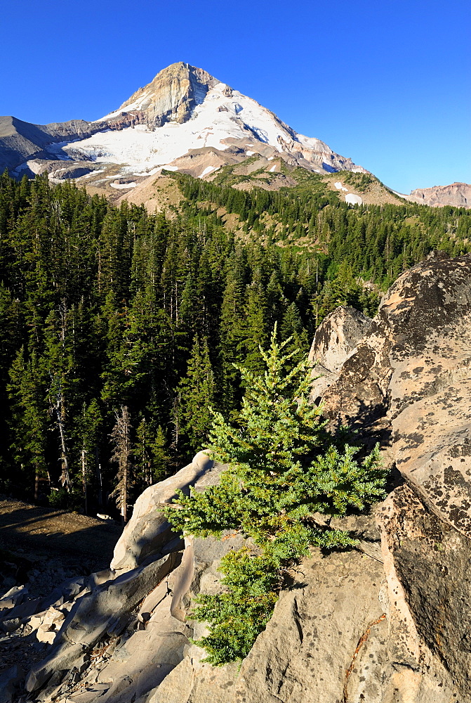 East face of Mount Hood volcano, Cascade Range, Oregon, USA