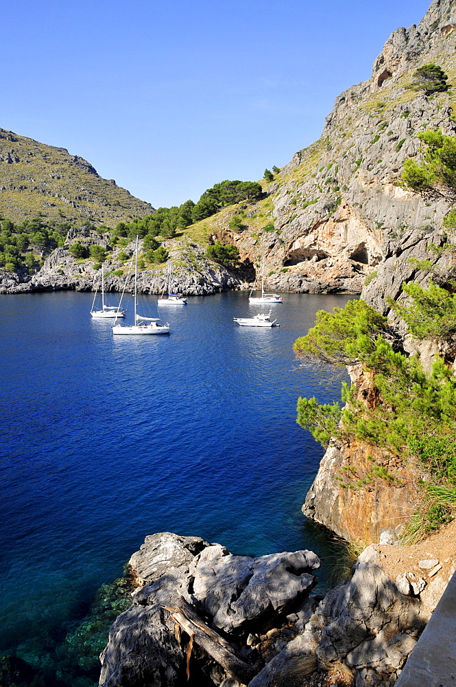 Tourist boats at the entrance to the Torrent de Pareis Gorge, Sa Calobra, Majorca, Balearic Islands, Spain, Europe