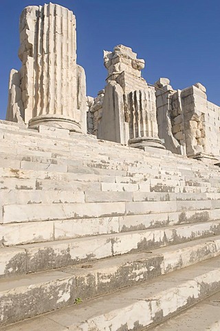 Apollo temple, Ionian columns, Didyma, Turkey