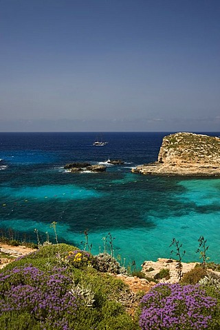 Blue Lagoon of Comino, Malta, Europe