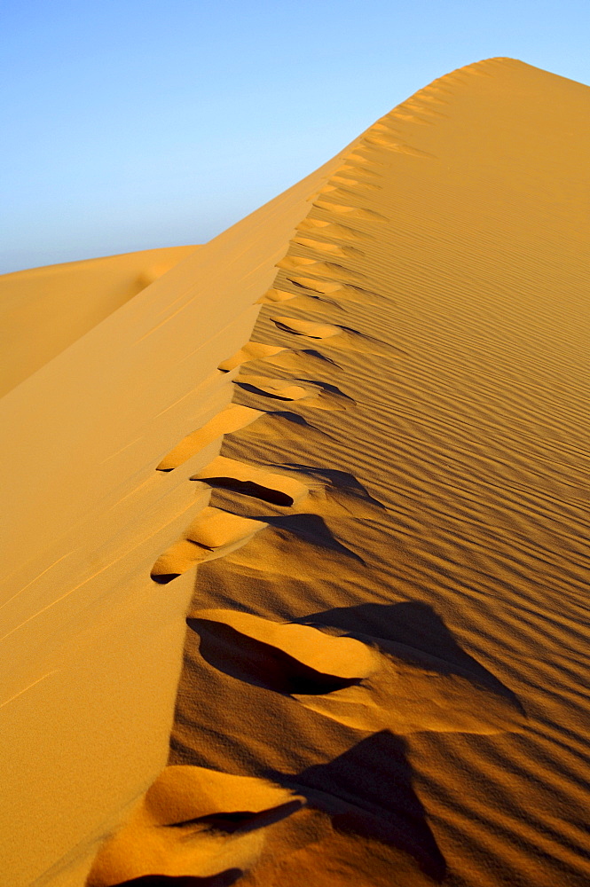 Blown over foot prints on sand ridge of a desert dune, Ubari Sand Sea, Sahara desert, Libya, Africa