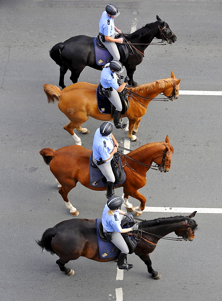 International German Gymnastics Festival 2009 procession, mounted Police, Frankfurt am Main, Hesse, Germany, Europe