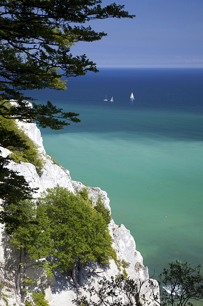 Mons Klint chalk cliffs, Mon Island, Denmark, Europe