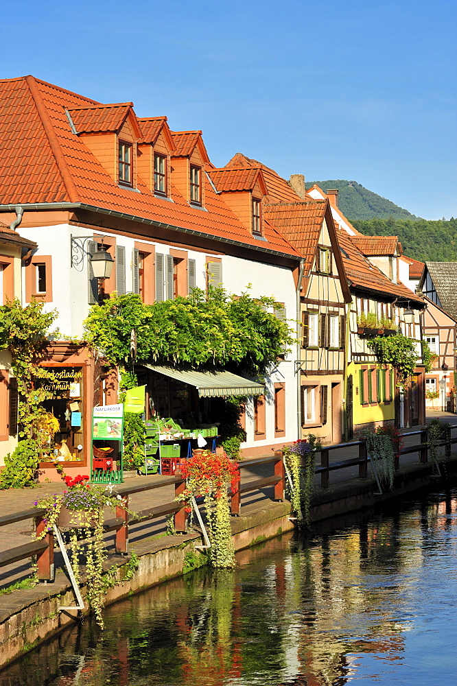 View of the Wassergasse lane with the river Queich, Annweiler, Naturpark Pfaelzerwald nature reserve, Palatinate, Rhineland-Palatinate, Germany, Europe
