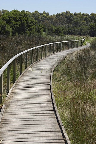 Wooden path, River and Heritage Trail, Sale Common, Gippsland, Victoria, Australia