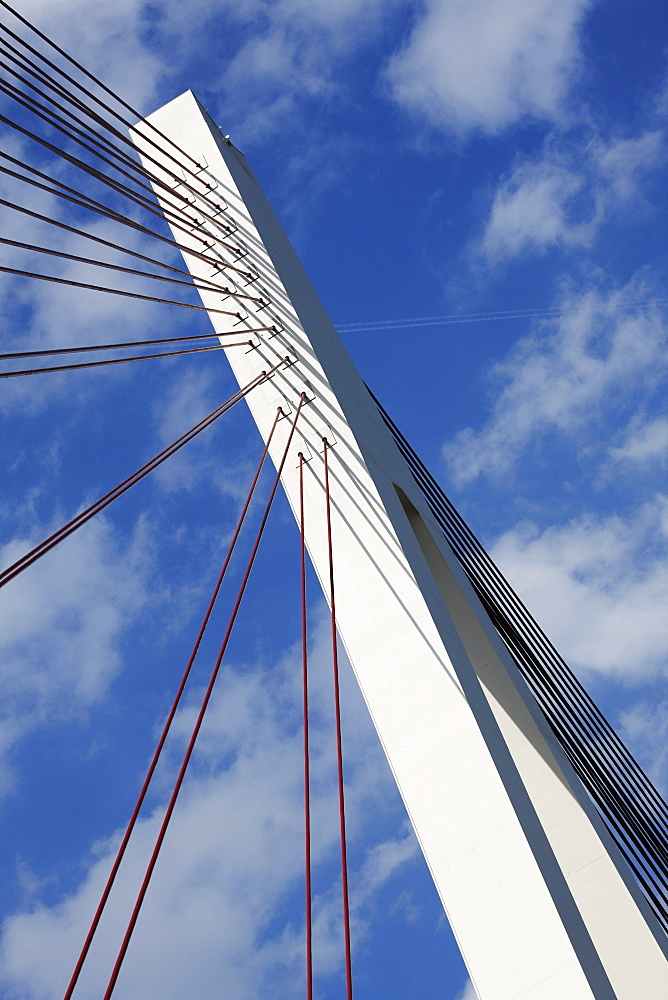 Raiffeisenbruecke Bridge, Neuwied, Rhineland-Palatinate, Germany, Europe