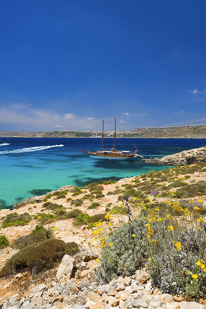 Blue Lagoon of Comino, Malta, Europe