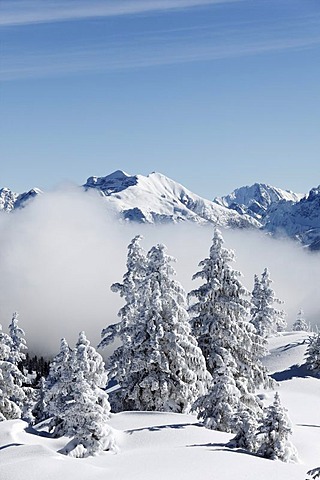 Winter landscape, Wank mountain near Garmisch-Partenkirchen, in the back the Karwendelgebirge mountain range, Werdenfelser Land, Upper Bavaria, Bavaria, Germany