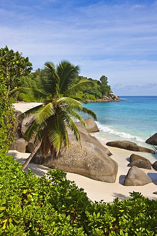 Beach near Vista do Mar with the typical granite rocks of the Seychelles, Glacis, Mahe Island, Seychelles, Indian Ocean, Africa