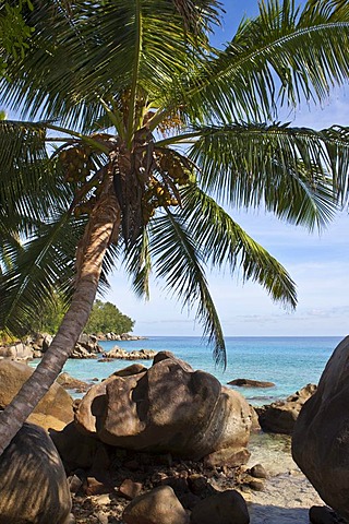 Beach near Vista do Mar with the typical granite rocks of the Seychelles, Glacis, Mahe Island, Seychelles, Indian Ocean, Africa