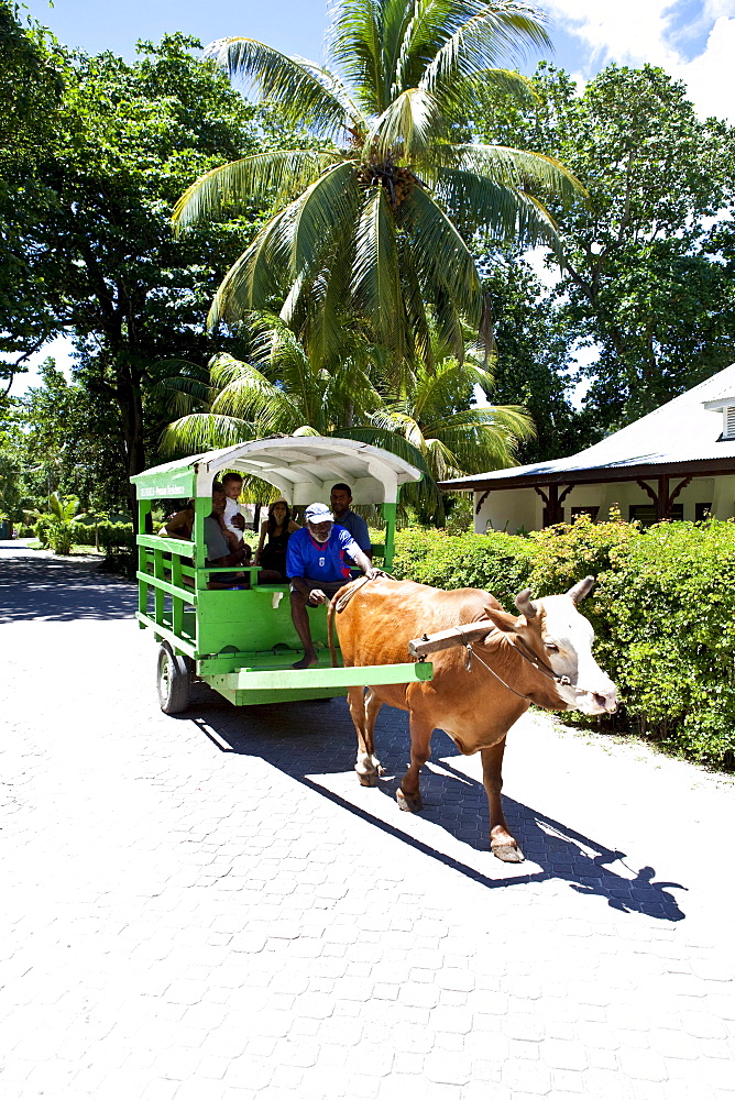 Oxcart, La Digue Island, Seychelles, Indian Ocean, Africa