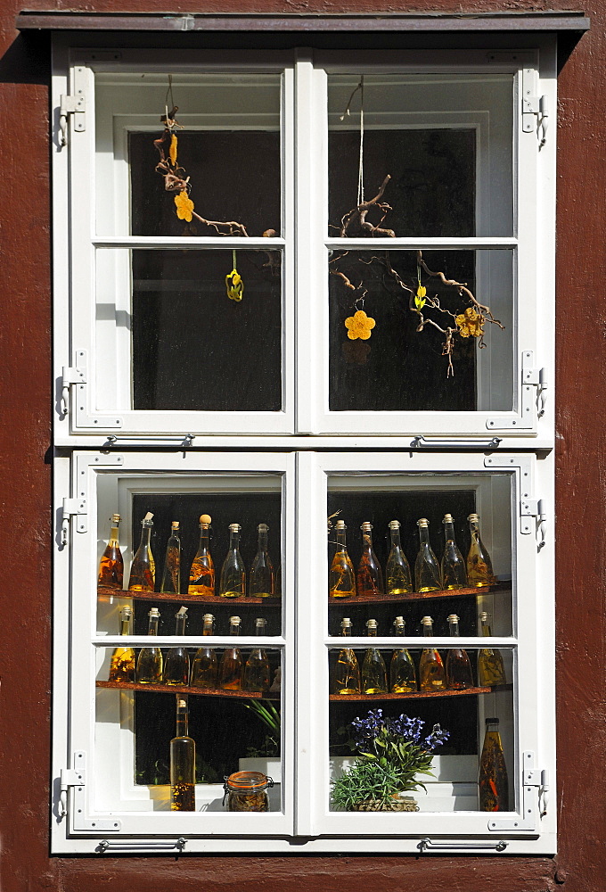 Old window of a shop decorated with olive oil bottles, Lueneburg, Lower Saxony, Germany, Europe